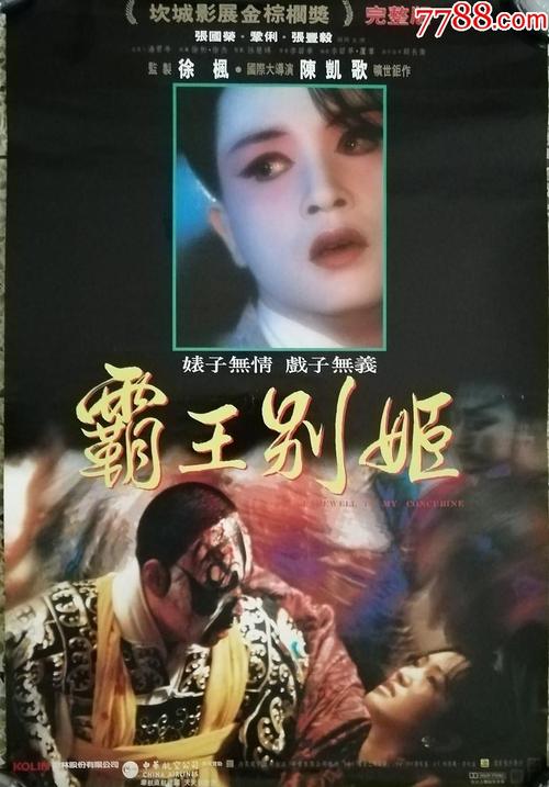 海牙酒店学校社会学文凭证书